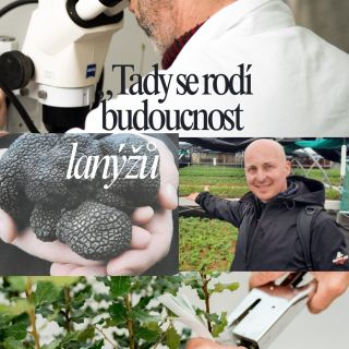 „Tady se rodí budoucnost lanýžů. 🌱 Laboratoř AgriTruffe v Bordeaux – kombinace vědy, tradice a respektu k přírodě. Viděl...