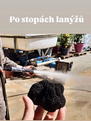 „Lanýž se nehledá náhodou. Pes, ruce v hlíně a zkušenost. Řemeslo, které se předává od mistrů z generace na generaci.“...